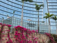 -海湾壹品·粤菜·早茶·烤鸭(拱北店)