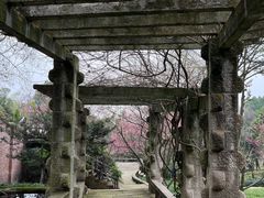 -南山植物园