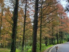 -山王坪喀斯特国家生态公园