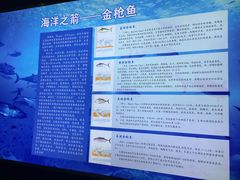 -上海海洋大学鱼文化博物馆(军工路校区)