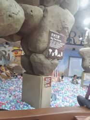 点击看大图 -卡通尼·Safari非洲探索乐园·生日会(金桥国际商业广场店)