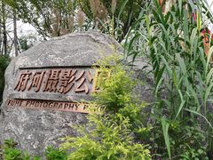 -府河摄影公园