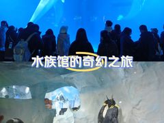 -海合安成都极地海洋公园