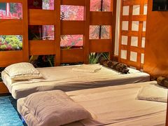 -世外桃源水疗会(皇庭彩园店)