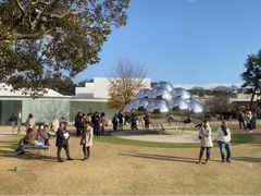 -金泽21世纪美术馆