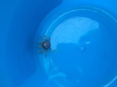 -北海金海湾红树林生态旅游区