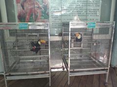 -东部华侨城