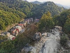 -南山植物园