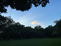 -荔枝公园(福田区)