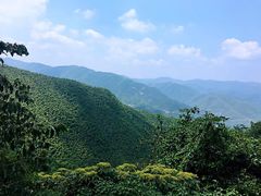 -莫干山风景区