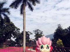 -广州市流溪河国家森林公园