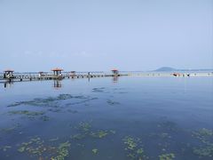 -东湖听涛景区