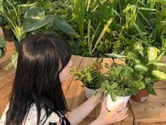 -瑞虹新天地月亮湾