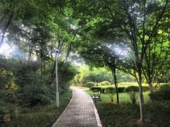 -燕鸣岛