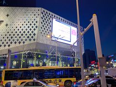 -佬土鹅肠火锅(解放路店)