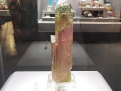 -湖南省地质博物馆