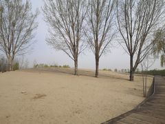 -东郊湿地公园