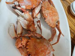-金海湾海鲜排档(朱家尖店)