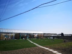 -美家乐农庄·露营·团建(大治路店)
