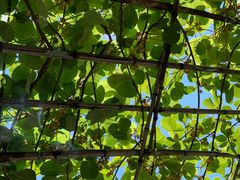 -马武寨驴打滚宴美食村289号(十三陵)