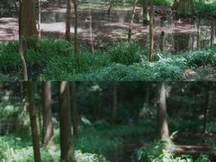 -虎跑公园