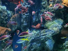-海合安成都极地海洋公园