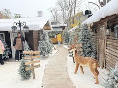 -HERRE·FARM 赫尔露营农场·团建聚会包场