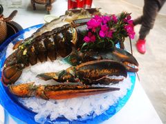 -半岛听涛蒸汽海鲜自助(K11店)
