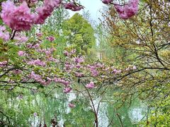 -桃花岛景观公园
