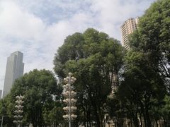 -重庆市江北嘴中央商务区中央公园