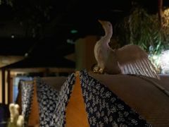 -举炊·寻湘记·新鲜现炒(临平西子国际店)