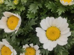-南山植物园