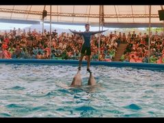 -尼莫海豚馆