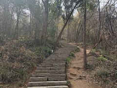 -采石矶景区