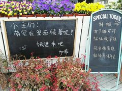 -吉丁鸟咖·异宠·寄养