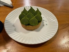 -猫里有甜