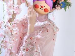 -猫遇摄影工作室