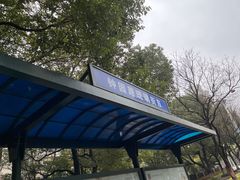 -爱维叶幼儿园