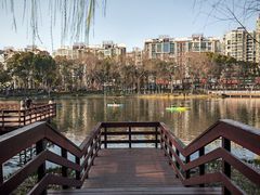 -新江湾城公园