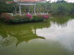 -大屏嶂森林公园