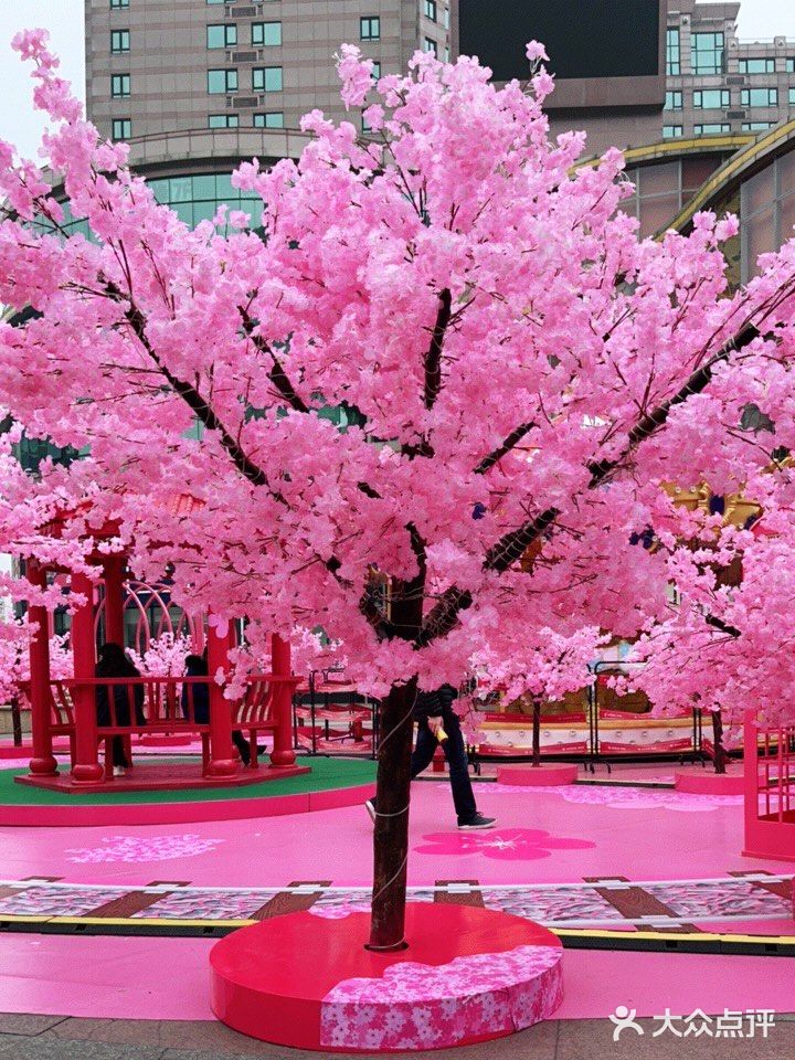 满树樱花朵朵开，花花世界的，出来逛街啊