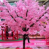 满树樱花朵朵开，花花世界的，出来逛街啊