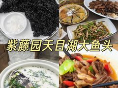 -紫藤园·天目湖大鱼头(南山竹海店)