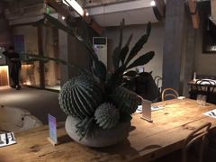 -三秋舍·梦幻岛(小西路店)
