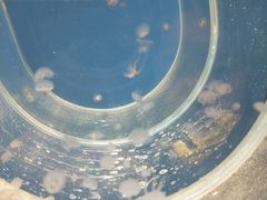 -多彩贵州城极地海洋世界