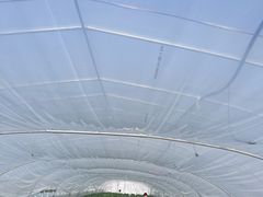 -喜杨洋草莓采摘园