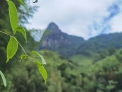 -鸡枕山