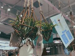 -KKV(深圳宏发大仟里店)