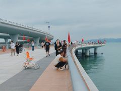 -演武大桥观景平台