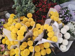 -秦美花卉(天朗·莱茵小城2期店)